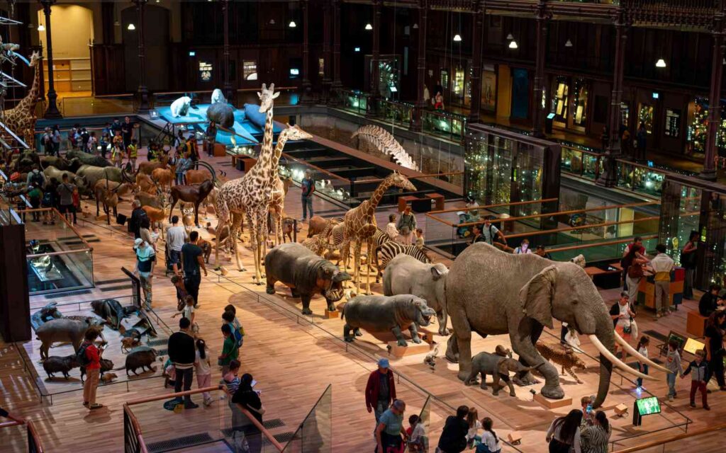 natural history museum_paris with kids on a rainy day_the knowledge nuggets